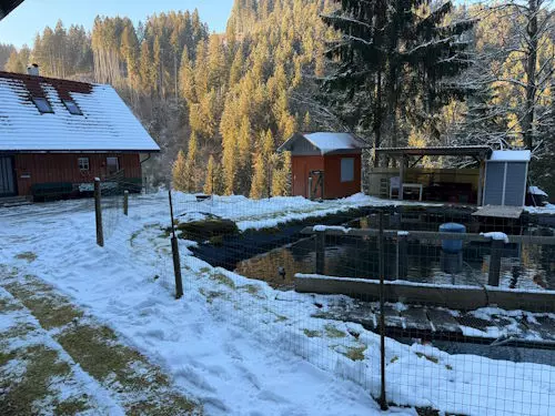 Winter, Außenanlage Ferienhaus-Waldenstein, Haus-Waldenstein, Urlaub im Lavanttal in Kärnten, Wandern, Radfahren, Skifahren, Winterurlaub, Badeseen, Restaurants, Sehenswürdigkeiten, Ausflugziele, Kärnten entdecken, Ruhe, Natur, Zeit füreinander haben, Urlaub mit Herz, ruhige Lage, komfortable Ausstattung für Familien, Paare und Hundebesitzer, Gäste aus Österreich, Gäste aus Deutschland, Gäste aus der Schweiz, Ferienhaus,  Annelies Stückler